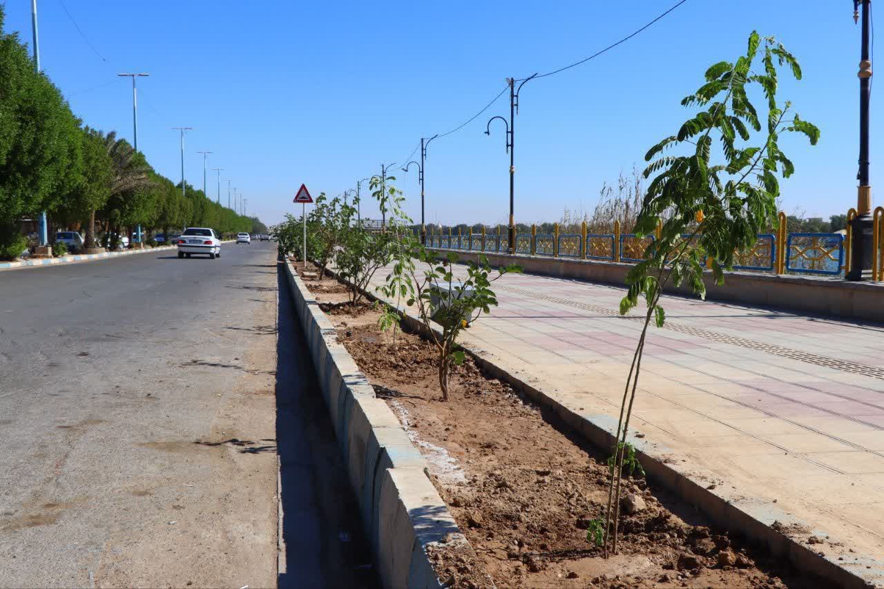  آغاز کاشت گسترده نهال برهان گُلی و سپستان در خرمشهر 