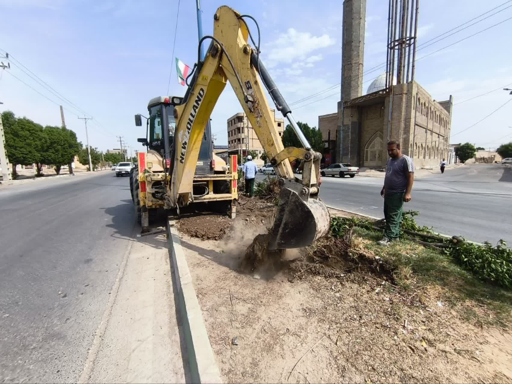  خداحافظی تدریجی خرمشهر با درختان بی ثمر کنوکارپوس 